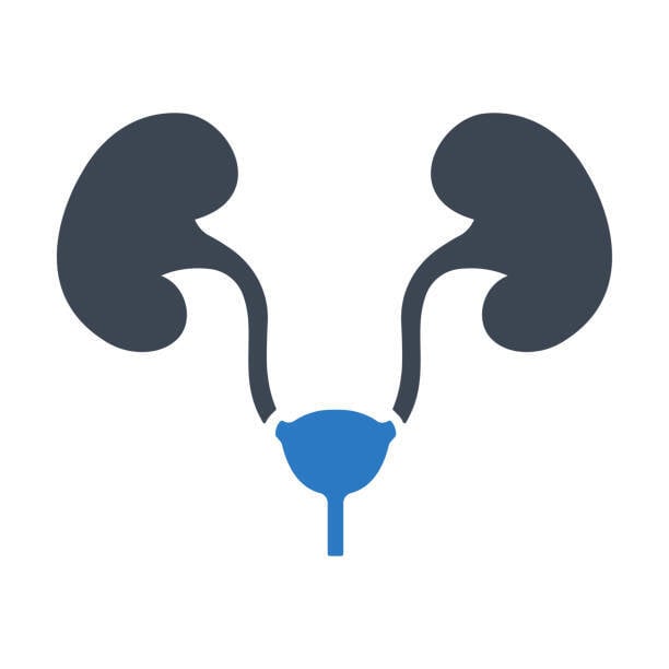 Urology